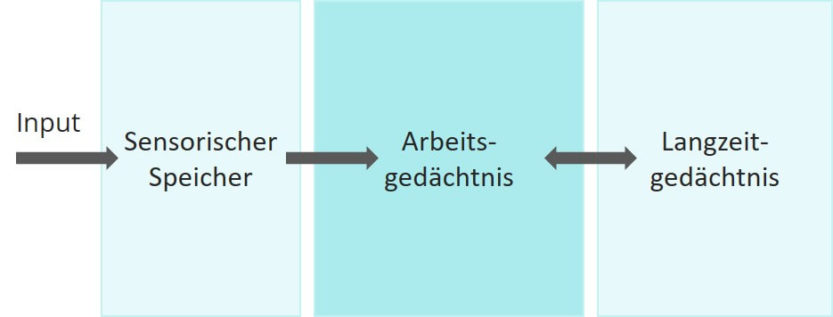 Kognitive Verarbeitung von Informationen im Mehrspeichermodell