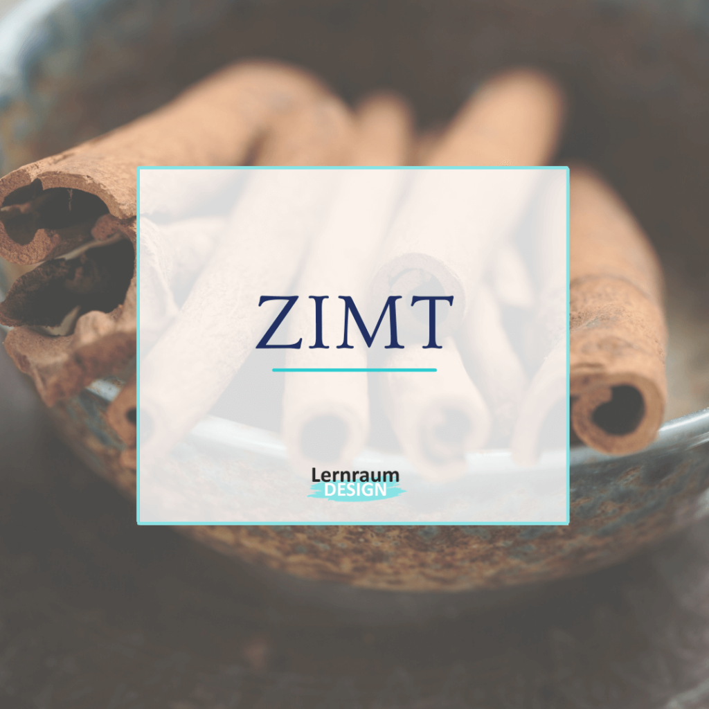 Online Seminare gestalten - Merkwort ZIMT