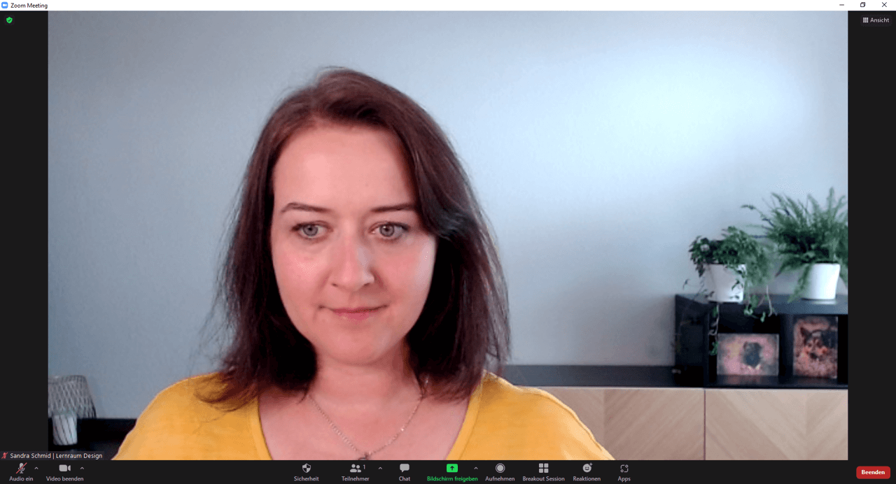 Blickkontakt im Online-Seminar herstellen - so nicht!