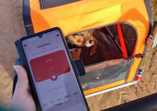 Audiopen auf dem Smartphone nutzen
